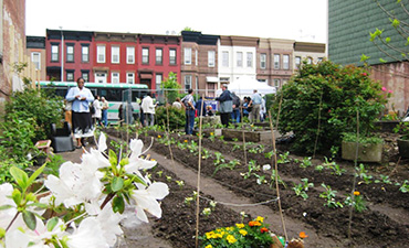 urban farm buenos aires-riattiwa-ta davide ruzzone